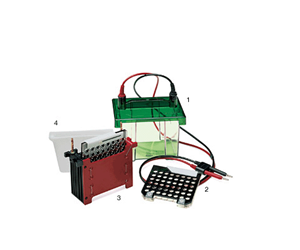 伯樂Mini Trans-Blot 轉(zhuǎn)印槽Biorad Mini Trans-Blot Cell 170-3930