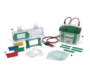 170－3930伯樂小型Trans-Blot 轉(zhuǎn)印槽Biorad Mini Trans-Blot C