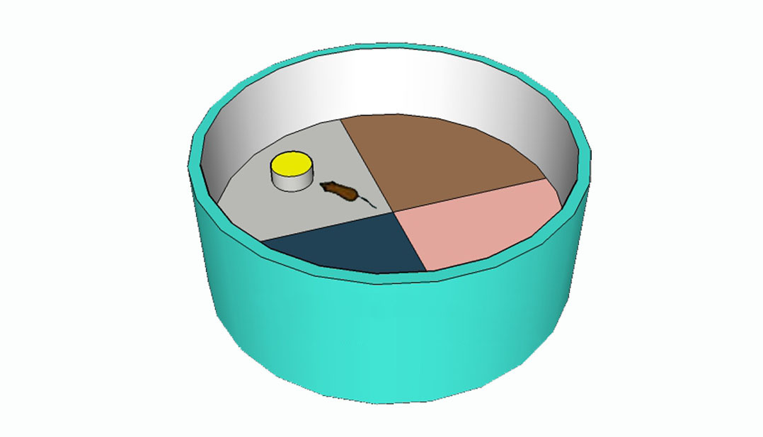 SuperMaze V2.0動物行為視頻分析系統(tǒng)