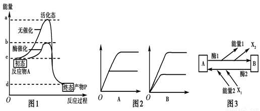 各種規(guī)格干細(xì)胞相關(guān)因子