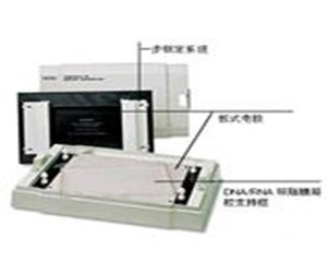 bio-radTrans-BlotSD半干轉(zhuǎn)印槽