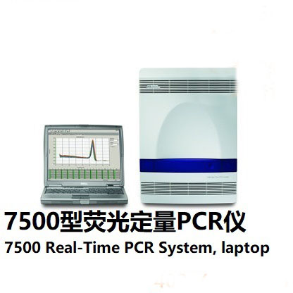 7500定量PCR儀