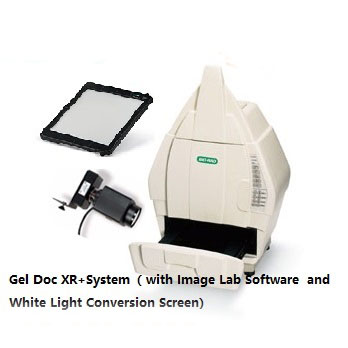 全自動凝膠成像系統(tǒng)