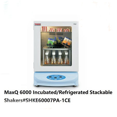 MaxQ6000搖床