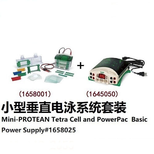 小型垂直電泳系統(tǒng)套裝