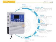 RBK-6000-ZL9 便于維護型甲烷報警器