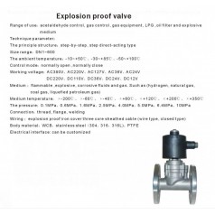 進(jìn)口防爆電磁閥（氫氣、天然氣、煤氣防爆）