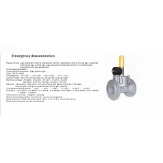 進口低壓緊急切斷電磁閥（通電關(guān)閉、手動打開）