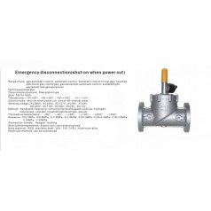 進(jìn)口高壓緊急切斷電磁閥-燃?xì)鈭缶o急切斷電磁閥