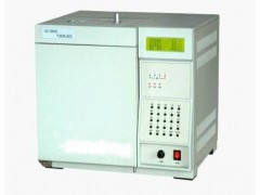 工業(yè)氰乙酸甲酯分析專用色譜儀