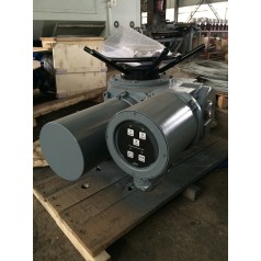 整體型DZW60-24-A00-WK開(kāi)關(guān)型閥門(mén)電動(dòng)裝置