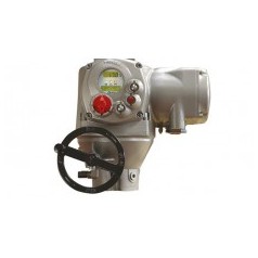 BIFFI 電動執(zhí)行器 F01系列