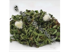 中藥材批發(fā)野生蒲公英蒲公英茶清熱消炎祛痘保肝品質保證量大從優(yōu)