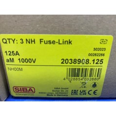德國進口SIBA熔斷器2038908.125