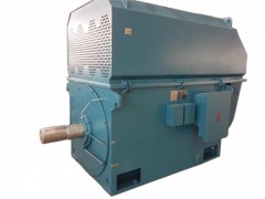 YTM/YHP/YMPS系列磨煤機用三相異步電動機