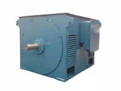 YSQ系列礦山專用三相異步電動機