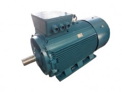 Y3（355～450）系列（IP55）低壓大功率三相異步電動(dòng)機(jī)