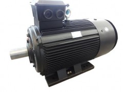 SDM-ZS系列制砂機(jī)專(zhuān)用三相異步電動(dòng)機(jī)