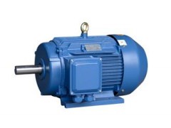 YE2、YE3（80～355）系列高效三相異步電動(dòng)機(jī)