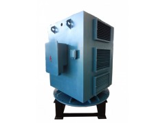 YLS系列6KV中型立式高壓三相異步電動(dòng)機(jī)