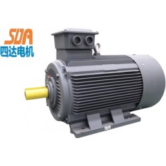 YE2高效節(jié)能電動(dòng)機(jī)