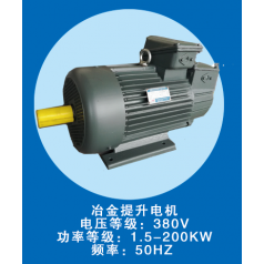YZR繞線轉(zhuǎn)子電動(dòng)機(jī) 起重及冶金用電動(dòng)機(jī)
