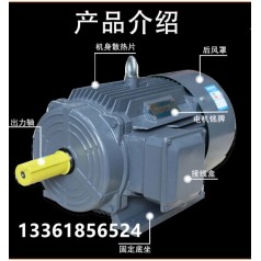 貝得電機(jī)1TL0001、西門子電機(jī)1TE0001系列、ABB電機(jī)M2BAX