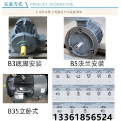 廠家銷售380v電機(jī)0.75KW-110KW高轉(zhuǎn)矩電機(jī) YE2三相異步電動(dòng)機(jī)