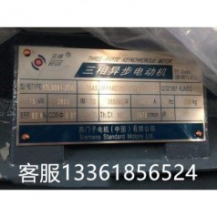 上海供應(yīng)庫存西門子1TL0001-2CB23-3AA4 備品備件三相異步交流電機(jī)