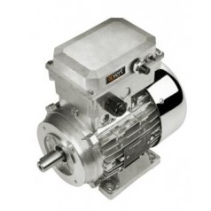 Carpanelli 帶逆變器的電動機(jī)Alfavert系列