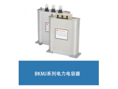 10KVARBSMJ電力電容器型號(hào)BSMJ0.45-10-3