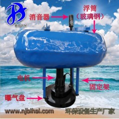 FQB4kw 掌柜推薦 浮筒潛水曝氣機 魚塘水產(chǎn)養(yǎng)殖充氧 潛浮式曝氣機