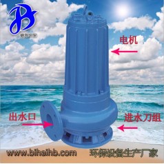 WQ0.75廠家直銷鑄鐵電動(dòng)潛水排污泵 環(huán)保污水處理泵沉淀池用泵