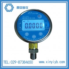 數(shù)字壓力表 數(shù)字差壓表 數(shù)顯精密壓力表 數(shù)顯真空表