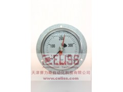 進口JRA壓力表