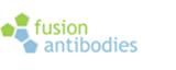 Fusion Antibodies