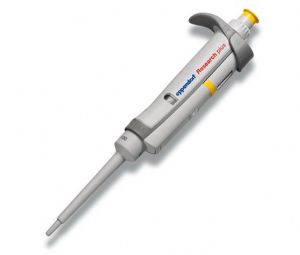 Eppendorf Research plus整支滅菌可調(diào)量程移液器0.1-2.5ul