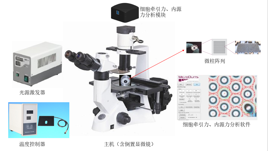 Labomed代理,LB702，+ 細(xì)胞牽引力顯微鏡 +cell mechanics analyze