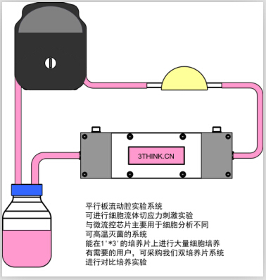 BIOCUL-S100流體細(xì)胞剪切力系統(tǒng) 細(xì)胞流體切應(yīng)力 流動(dòng)中的動(dòng)態(tài)細(xì)胞培養(yǎng)