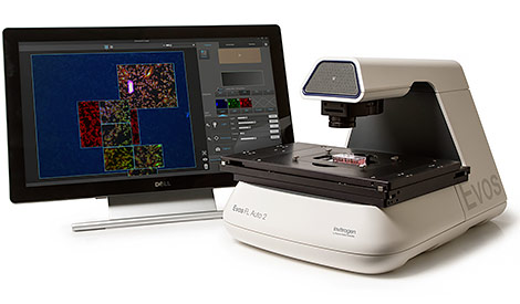Invitrogen EVOS FL Auto 2智能全自動(dòng)熒光顯微成像系統(tǒng)