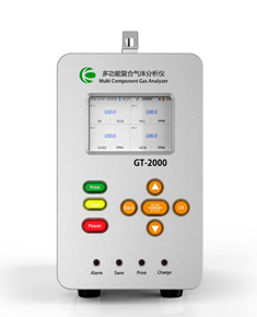 GT-2000(CH2O)甲醛氣體分析儀