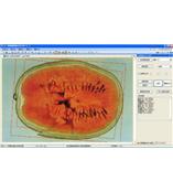 LA-S瓜果剖切面、瓤色圖像分析儀系統(tǒng)