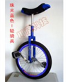 北京騎士獨(dú)輪車(chē)專(zhuān)業(yè)競(jìng)技