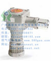 特安EXSAF ES2000T可燃?xì)怏w報(bào)警探測(cè)器（圖），ES2000T 探測(cè)器