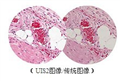 熒光生物顯微鏡BX41奧林巴斯（上海）