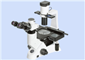 倒置熒光顯微鏡YG-100