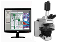 顯微影像分析系統(tǒng)