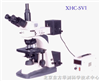 數(shù)碼正置金相顯微鏡